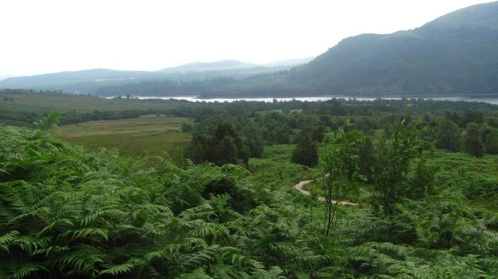 ai225.photobucket.com_albums_dd306_aserodio_Scotland_Creag_20Meagaidh_IMG_3001_zps126302e6.jpg