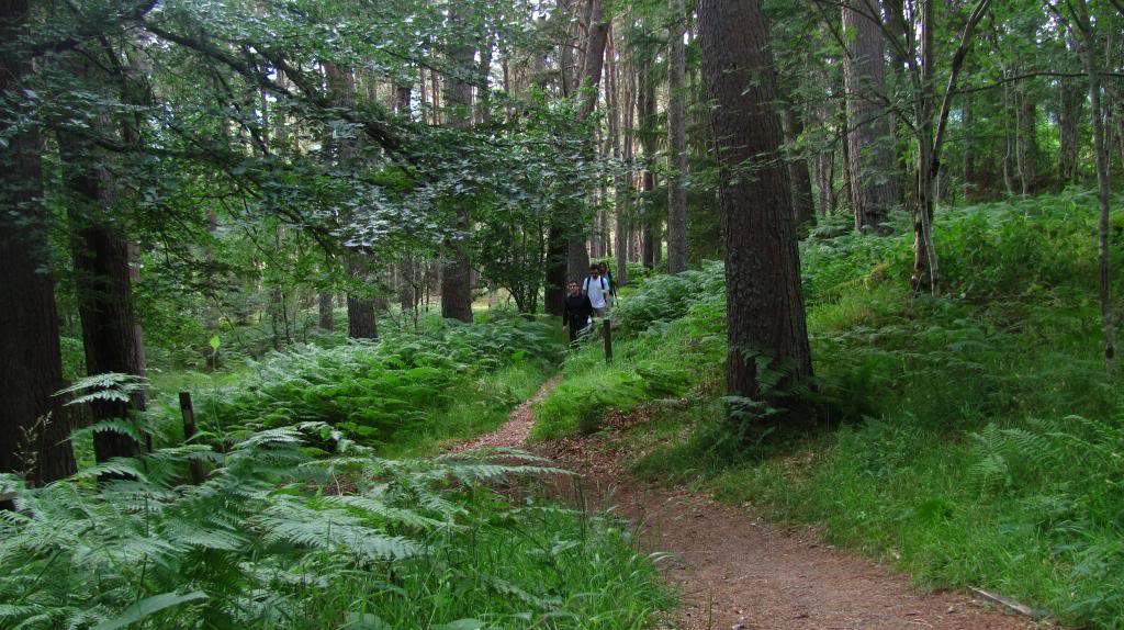 ai225.photobucket.com_albums_dd306_aserodio_Scotland_Fall_20of_20Foyers_IMG_3417_zpsfc74f932.jpg