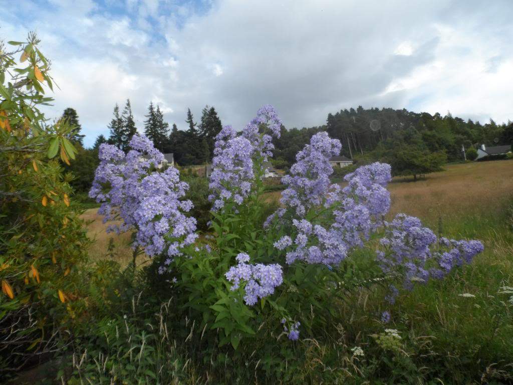 ai225.photobucket.com_albums_dd306_aserodio_Scotland_Fall_20of_20Foyers_SAM_0252_zpsf0b10724.jpg