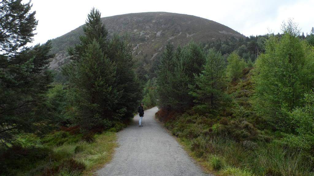 ai225.photobucket.com_albums_dd306_aserodio_Scotland_Glenmore_19437ff22b2f744fce8160e36d982095.jpg