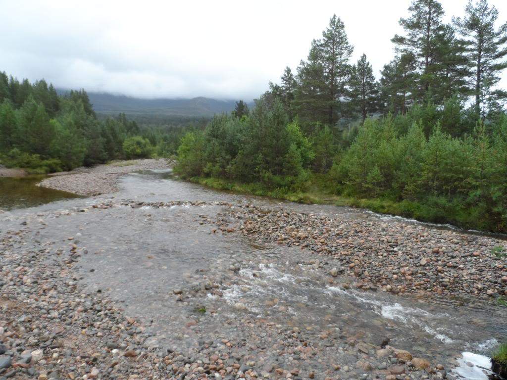 ai225.photobucket.com_albums_dd306_aserodio_Scotland_Glenmore_2f0e04d0281df3a1dcdd74ad3d1bb5e0.jpg