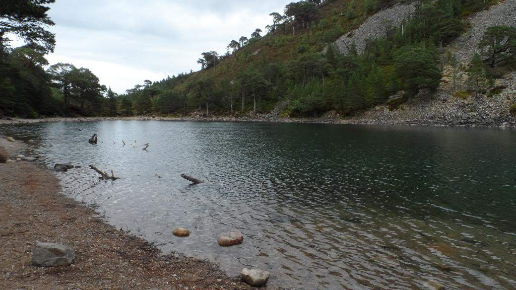 ai225.photobucket.com_albums_dd306_aserodio_Scotland_Glenmore_77f7c184b8cffb137ecb0a55e22f6c1e.jpg