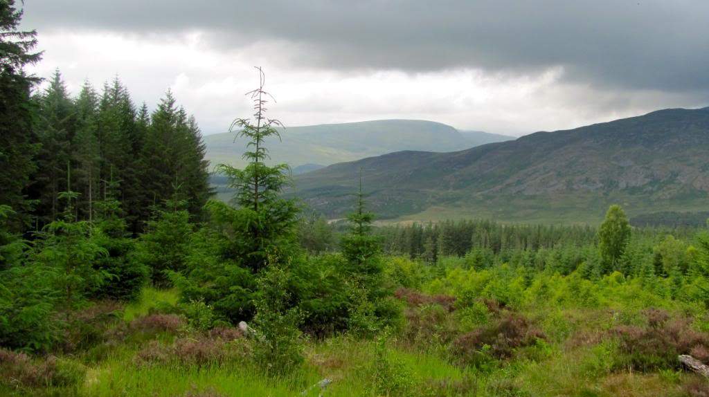 ai225.photobucket.com_albums_dd306_aserodio_Scotland_Gorstean_86e11abc1cc17b710dc4b31ba5226525.jpg