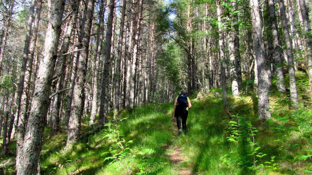 ai225.photobucket.com_albums_dd306_aserodio_Scotland_Gorstean_9758f5ef46b9c6517dfb06d1baa6cd55.jpg
