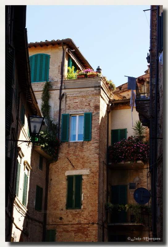 ai225.photobucket.com_albums_dd86_JJPPMM_8429_Siena.jpg