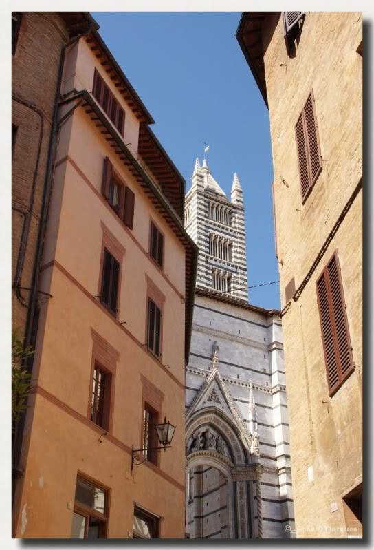 ai225.photobucket.com_albums_dd86_JJPPMM_8449_Siena.jpg