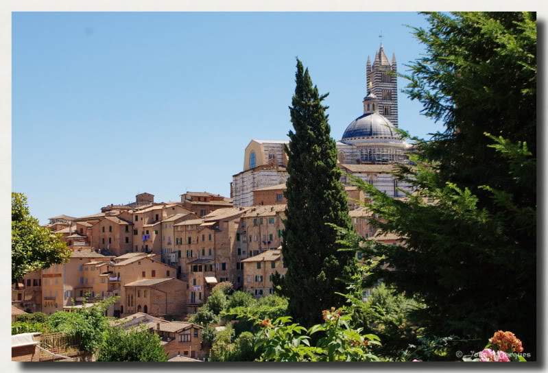 ai225.photobucket.com_albums_dd86_JJPPMM_8553_Siena.jpg