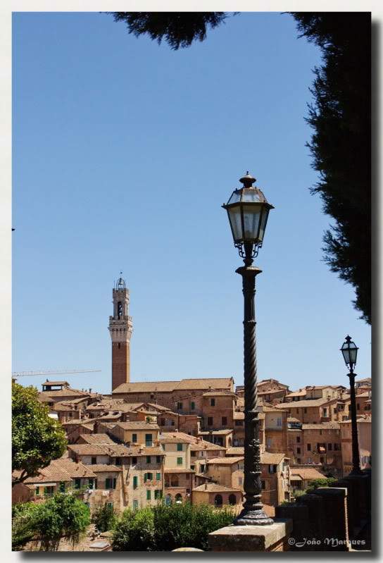 ai225.photobucket.com_albums_dd86_JJPPMM_8554_Siena.jpg