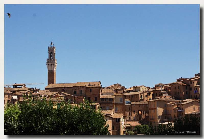 ai225.photobucket.com_albums_dd86_JJPPMM_8567_Siena.jpg