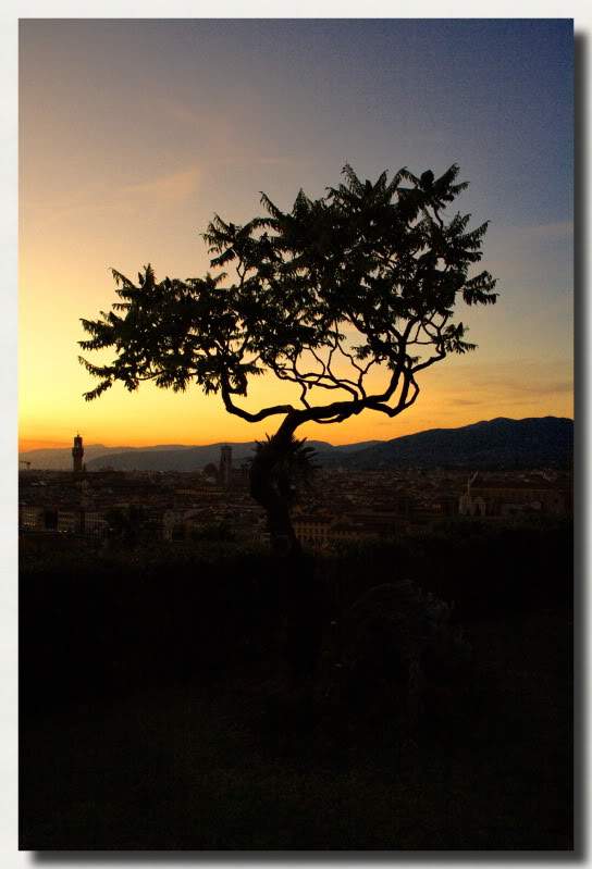 ai225.photobucket.com_albums_dd86_JJPPMM_8706_Florena.jpg