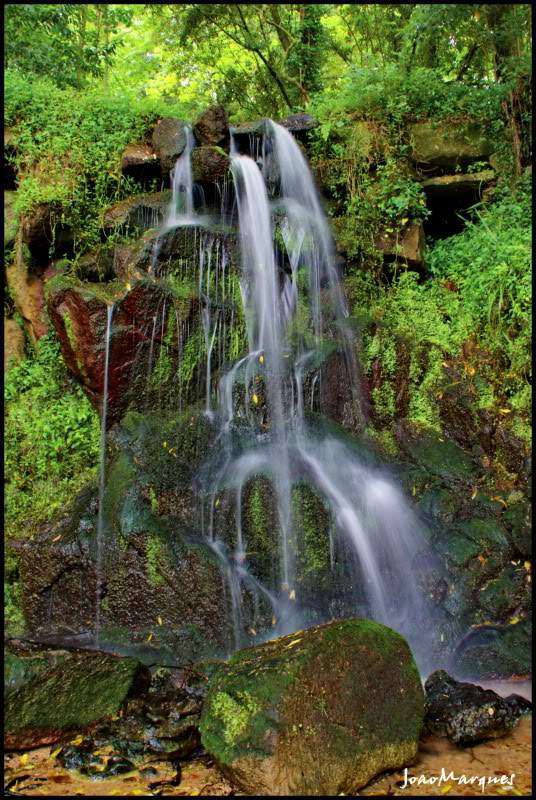 ai225.photobucket.com_albums_dd86_JJPPMM__MG_9152_1_1.jpg