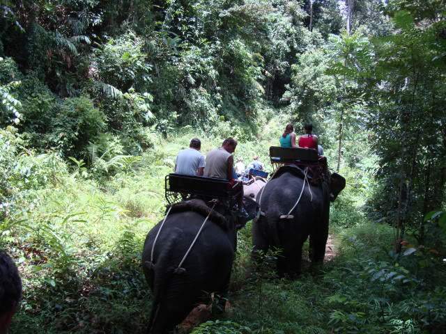 ai228.photobucket.com_albums_ee218_josecfmoreira_Thai_DSC00272.jpg