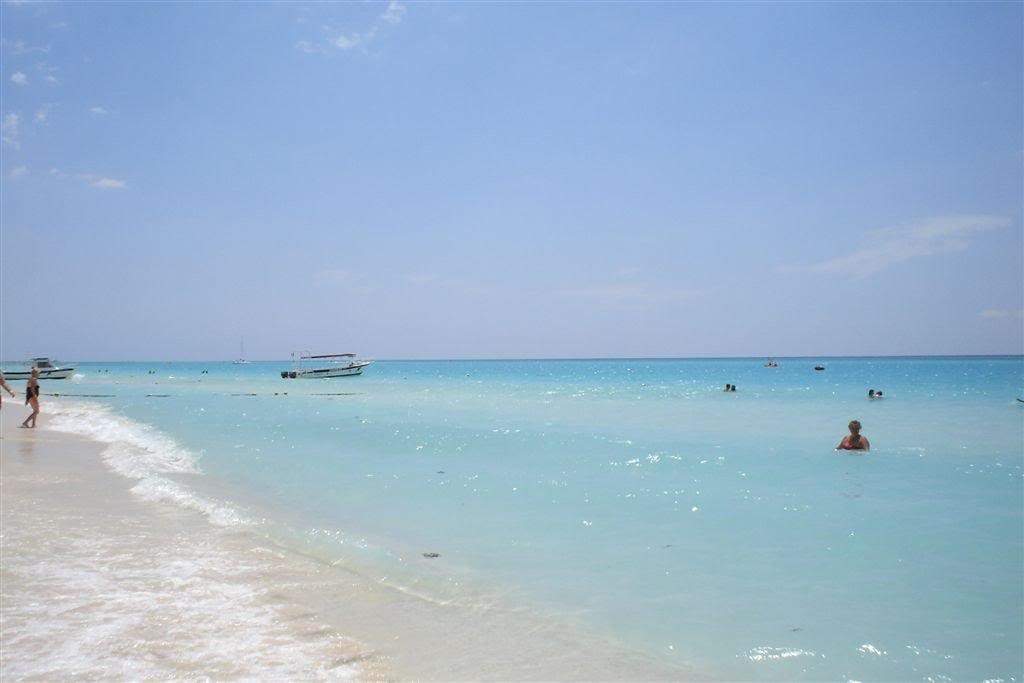 ai263.photobucket.com_albums_ii155_hugo_feliciano_DSC00671_.jpg