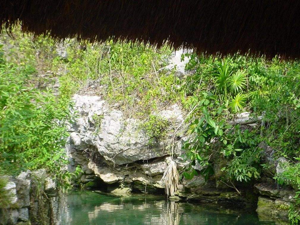 ai263.photobucket.com_albums_ii155_hugo_feliciano_DSC00681.jpg