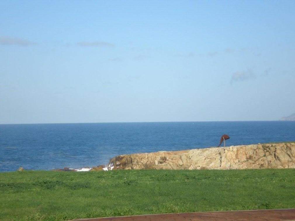 ai263.photobucket.com_albums_ii155_hugo_feliciano_PC020112.jpg