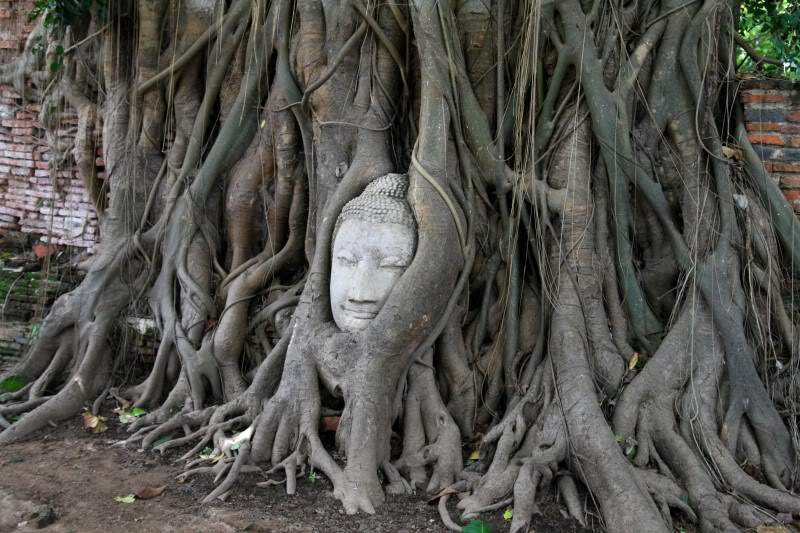 ai270.photobucket.com_albums_jj106_Jorge_Goncalves_Viagens_24_20Tailandia_202012_Tailandia106.jpg