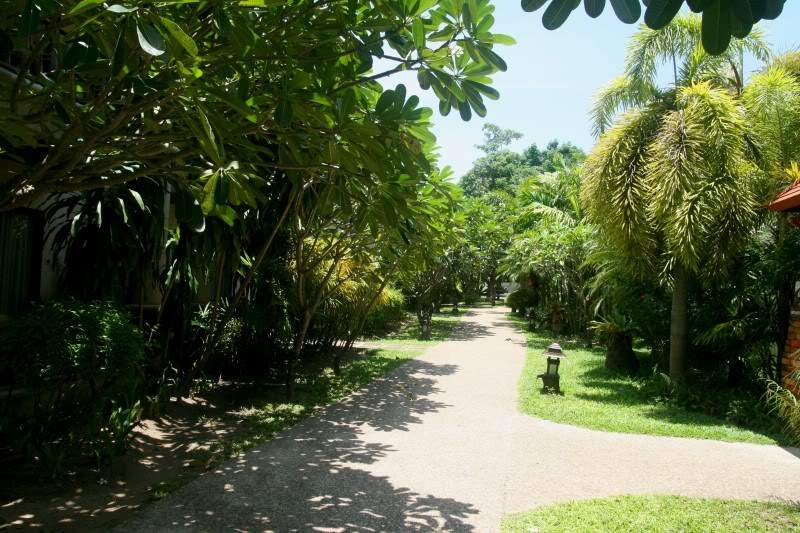 ai270.photobucket.com_albums_jj106_Jorge_Goncalves_Viagens_24_20Tailandia_202012_Tailandia215.jpg