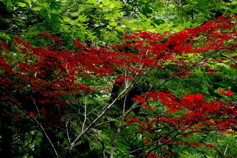 ai270.photobucket.com_albums_jj106_Jorge_Goncalves_Viagens_26_195fcf0eec044350987db1a93de0a8d3.jpg