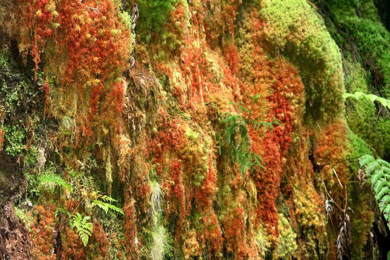 ai270.photobucket.com_albums_jj106_Jorge_Goncalves_Viagens_26_1e8bb0547cac090a0aaf58eb302ede29.jpg