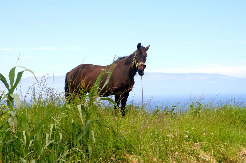 ai270.photobucket.com_albums_jj106_Jorge_Goncalves_Viagens_26_5217c43c45ba10ed782f7d4a32ee209f.jpg