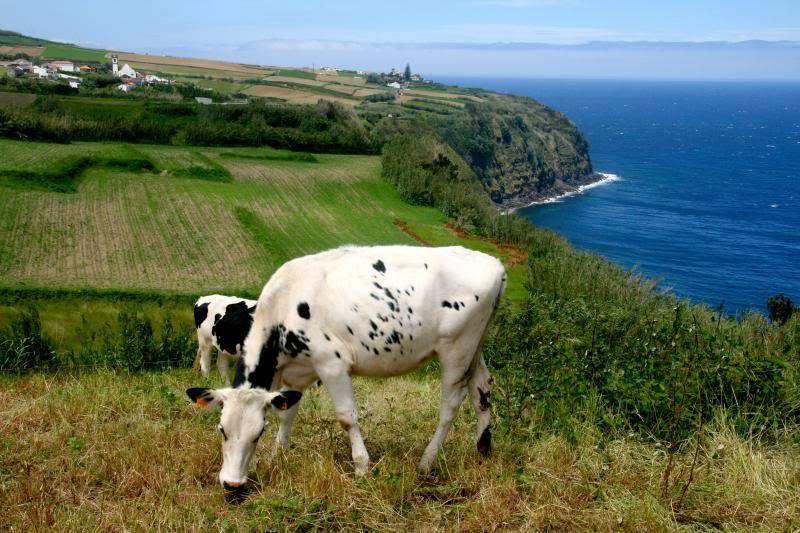 ai270.photobucket.com_albums_jj106_Jorge_Goncalves_Viagens_26_9ca744319a945d42a0074d1f35f8a992.jpg