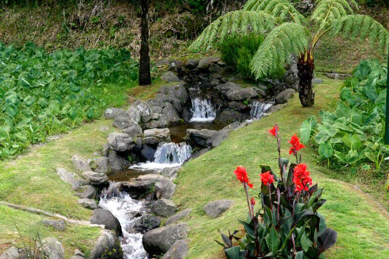 ai270.photobucket.com_albums_jj106_Jorge_Goncalves_Viagens_26_ac1fb35493e00a1f6806af77c50125d4.jpg