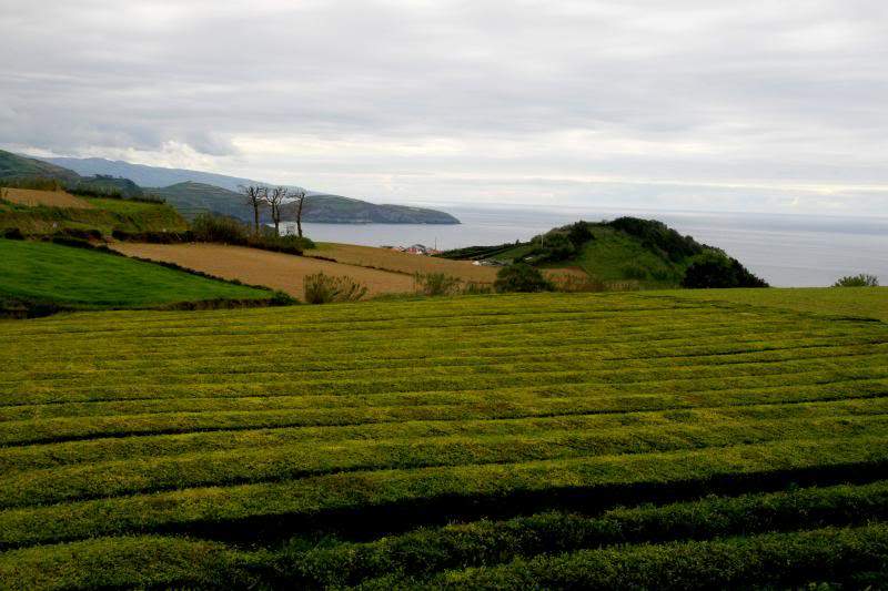 ai270.photobucket.com_albums_jj106_Jorge_Goncalves_Viagens_26_e3a973259558226d6dc6f8aadf3d3278.jpg
