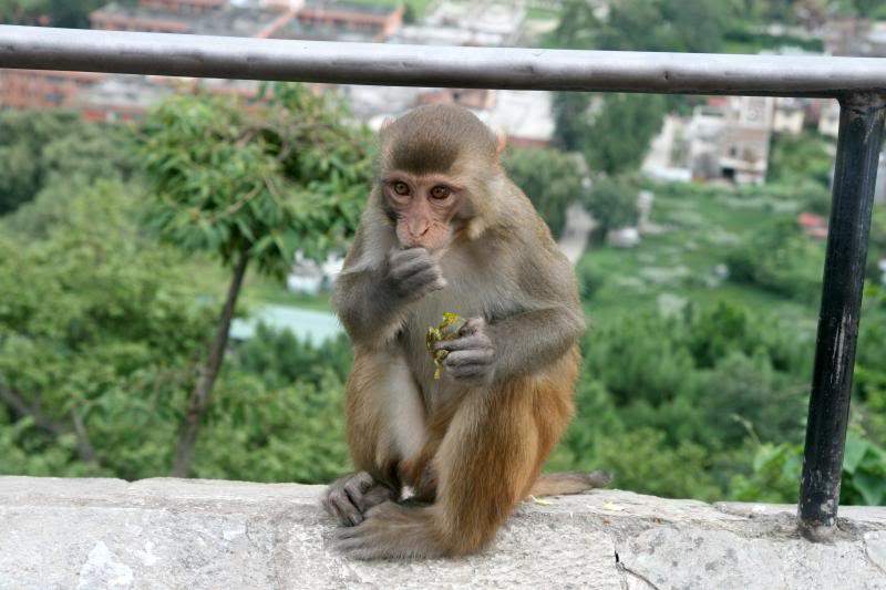 ai270.photobucket.com_albums_jj106_Jorge_Goncalves_Viagens_27_1e582676cf04d8704d8de212a877f2cd.jpg
