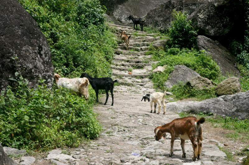 ai270.photobucket.com_albums_jj106_Jorge_Goncalves_Viagens_27_fa6e9a7efa03b27b17b928c1b715284a.jpg