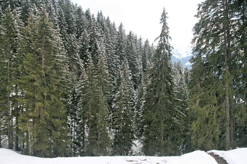 ai270.photobucket.com_albums_jj106_Jorge_Goncalves_Viagens_29_3f3a388673869cd538436e044ccd33e5.jpg