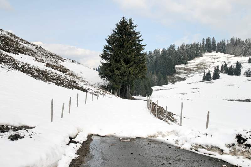 ai270.photobucket.com_albums_jj106_Jorge_Goncalves_Viagens_29_7b3062442c5e1ececca5a01c685f4a4b.jpg