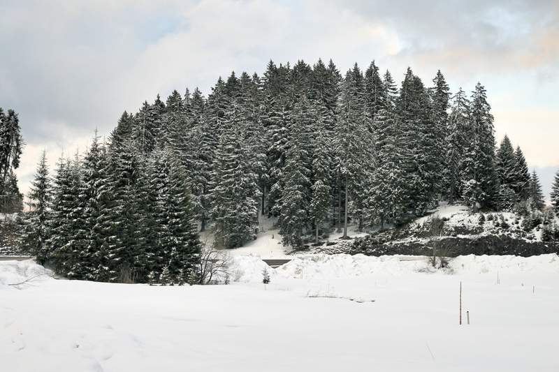 ai270.photobucket.com_albums_jj106_Jorge_Goncalves_Viagens_29_867d775c1680d539e05497292f08e8d9.jpg