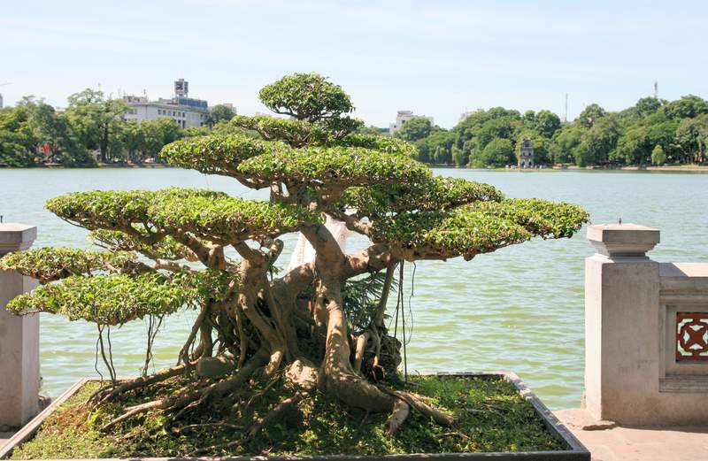 ai270.photobucket.com_albums_jj106_Jorge_Goncalves_Viagens_31_8a549caf32edca42593d7036a08b72bc.jpg