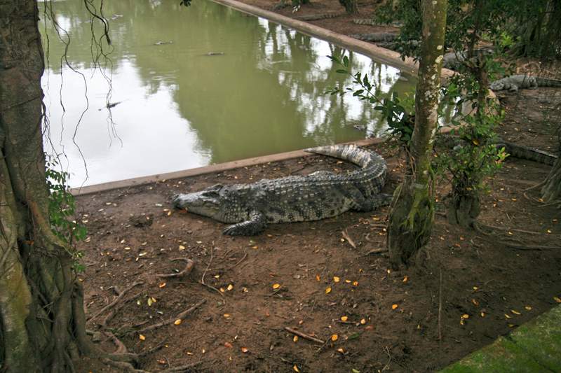 ai270.photobucket.com_albums_jj106_Jorge_Goncalves_Viagens_31_ba3984252ec940191d5c6cae28ceeb45.jpg