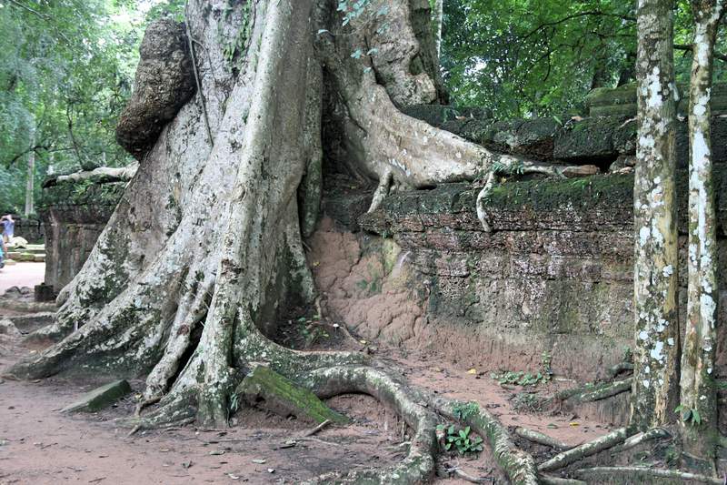 ai270.photobucket.com_albums_jj106_Jorge_Goncalves_Viagens_31_ef8ccd31d3593e968810eb8221327ecd.jpg