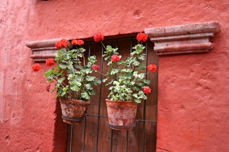 ai270.photobucket.com_albums_jj106_Jorge_Goncalves_Viagens_32_060194111f9d88a4ce7fc2144fd5ea64.jpg