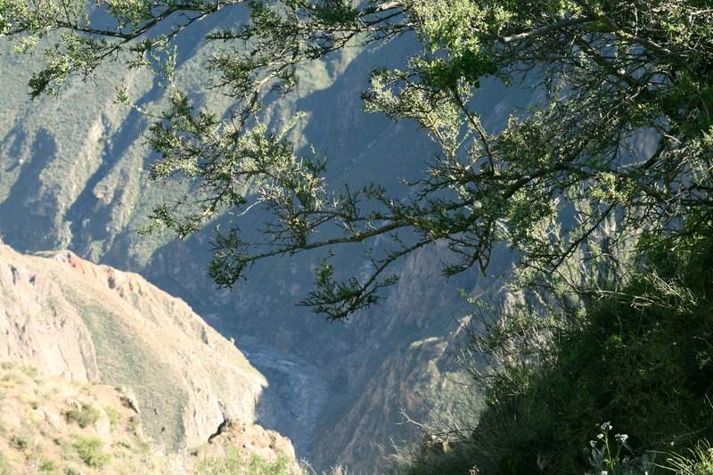 ai270.photobucket.com_albums_jj106_Jorge_Goncalves_Viagens_32_1eb75b8632ff48d5205bae3ae3c54d3d.jpg