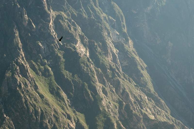 ai270.photobucket.com_albums_jj106_Jorge_Goncalves_Viagens_32_280feea823094b3298d431069fd66544.jpg
