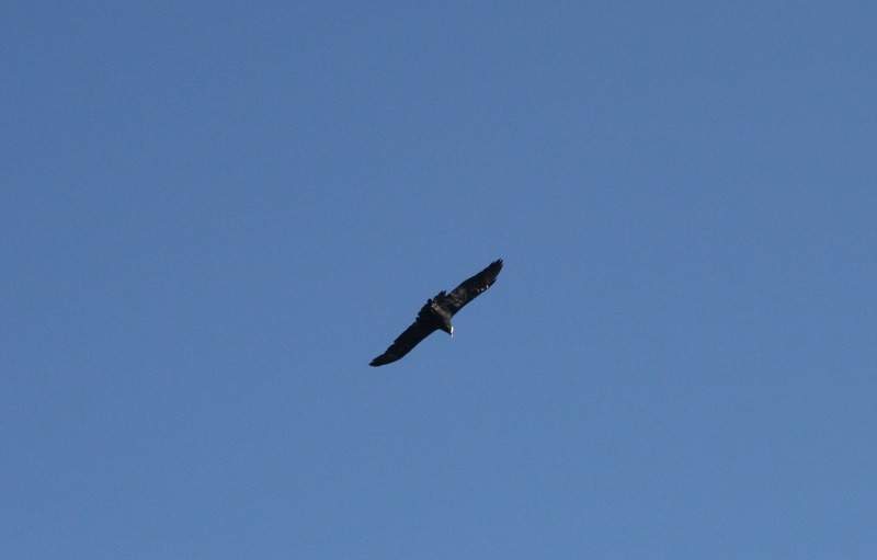 ai270.photobucket.com_albums_jj106_Jorge_Goncalves_Viagens_32_3c3d29a19b86cac6973cd5e832d115b7.jpg
