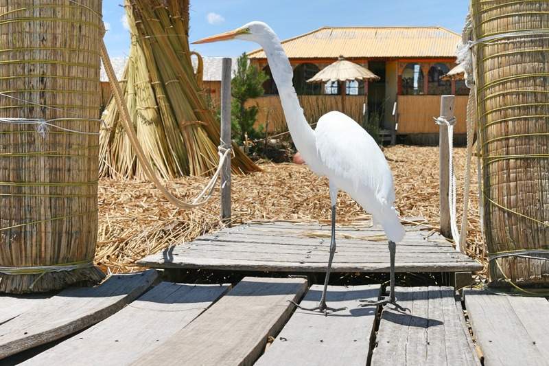 ai270.photobucket.com_albums_jj106_Jorge_Goncalves_Viagens_32_3eafb2240789bded863e65c8e41957a6.jpg