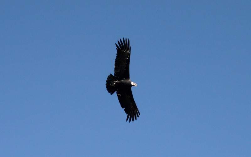ai270.photobucket.com_albums_jj106_Jorge_Goncalves_Viagens_32_4cba105dadd6cf638a70b958b5271974.jpg
