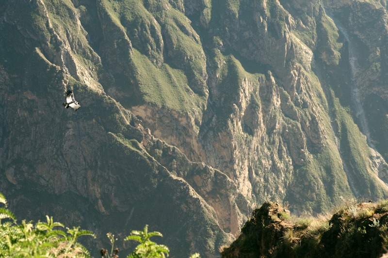 ai270.photobucket.com_albums_jj106_Jorge_Goncalves_Viagens_32_5c67e4bbf0045cd490f03b34ba200e6c.jpg