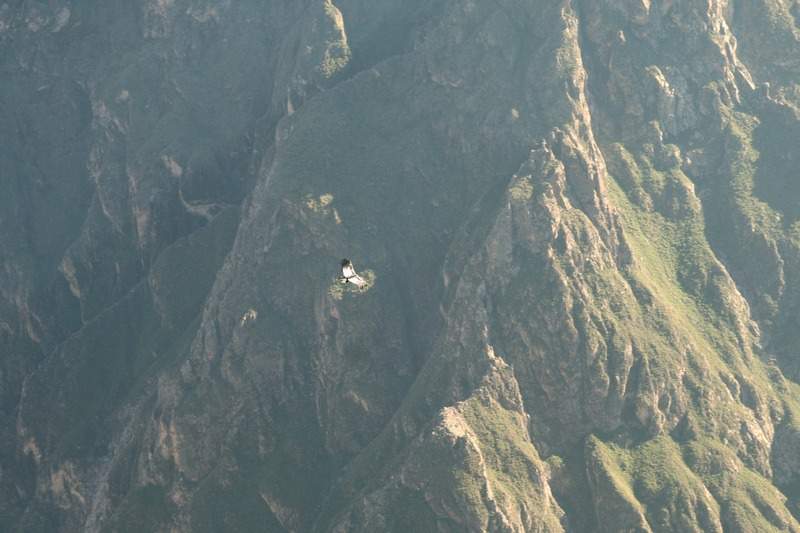 ai270.photobucket.com_albums_jj106_Jorge_Goncalves_Viagens_32_77f5bd35cf859287c8ce79c359a33918.jpg