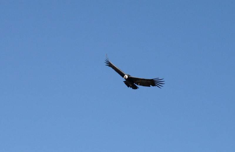 ai270.photobucket.com_albums_jj106_Jorge_Goncalves_Viagens_32_a5fcb1e9dc57e6e6da5fc974493c6cc1.jpg