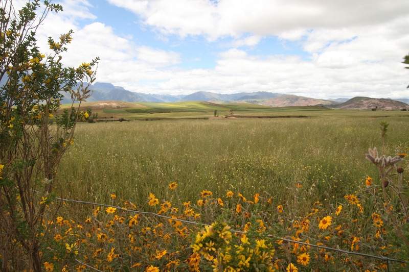 ai270.photobucket.com_albums_jj106_Jorge_Goncalves_Viagens_32_c4a01c882dfd60efda2d2f250ad9446a.jpg