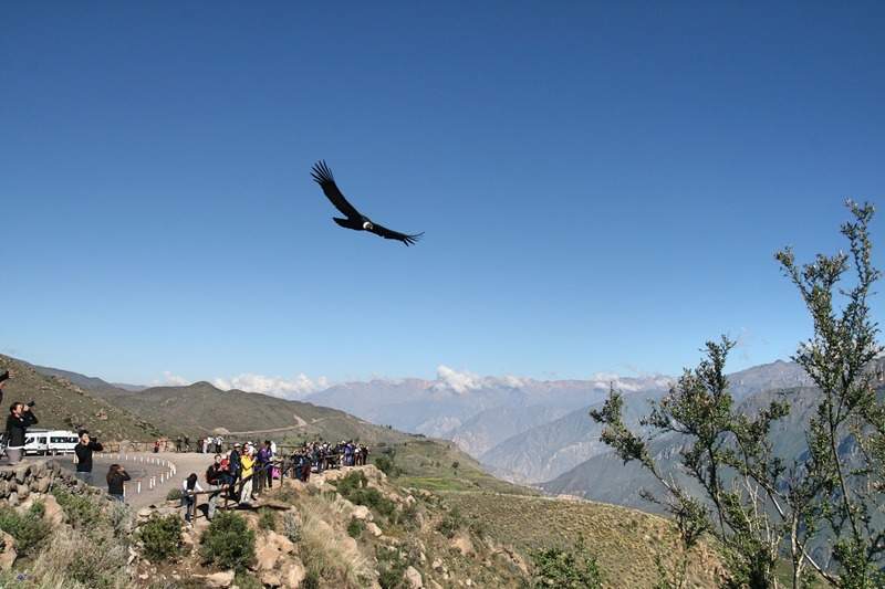 ai270.photobucket.com_albums_jj106_Jorge_Goncalves_Viagens_32_d3cb770c2e660ffe0e1b9b7c4d400ae4.jpg