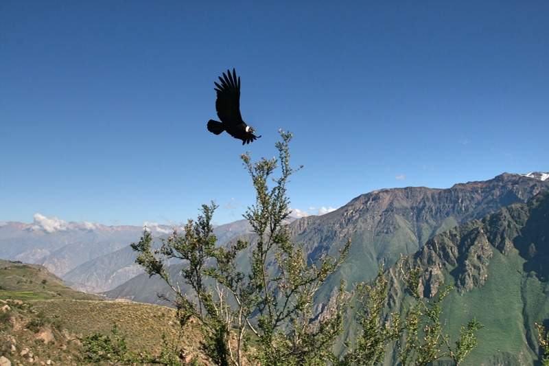 ai270.photobucket.com_albums_jj106_Jorge_Goncalves_Viagens_32_db0b1f17e2d1c7b46125f304b8436f12.jpg