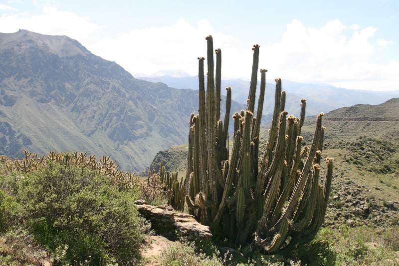 ai270.photobucket.com_albums_jj106_Jorge_Goncalves_Viagens_32_f4db02d9b0c530a4b735cfe3f564a90b.jpg