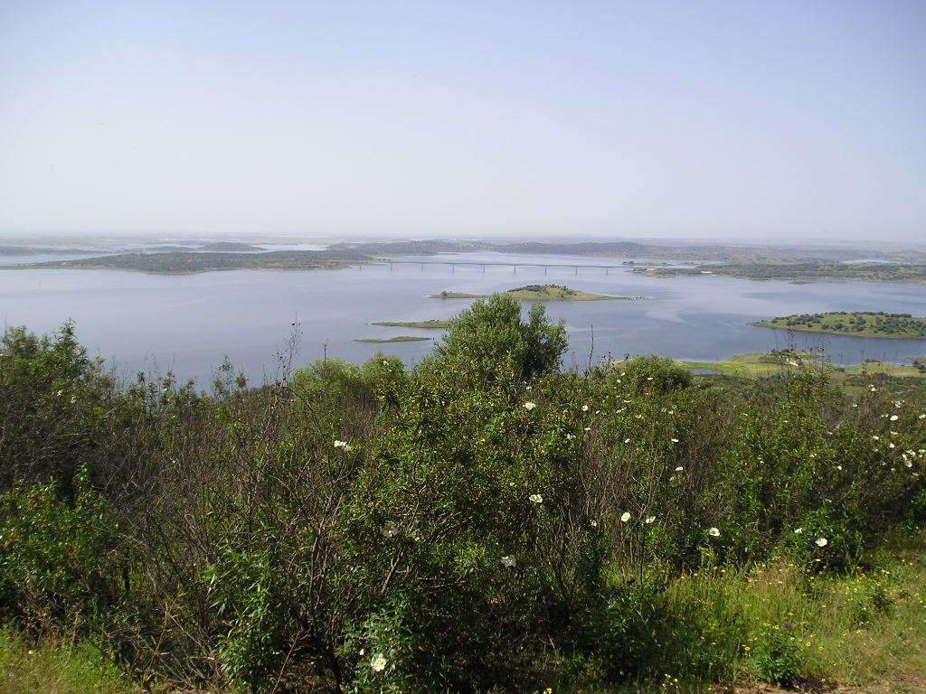 ai272.photobucket.com_albums_jj176_fmribeiro_MONSARAZESPORO009.jpg