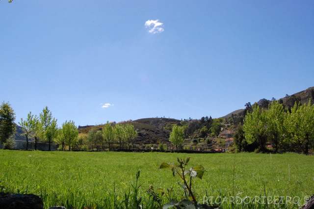 ai279.photobucket.com_albums_kk126_Rimeri_Paisagens_Covide01.jpg